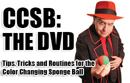 Color Changing Spongeball DVD